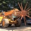Urchin Sculpture - Image 4